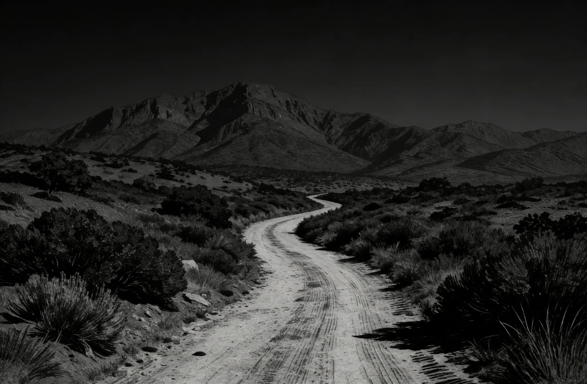 关于本站About this site